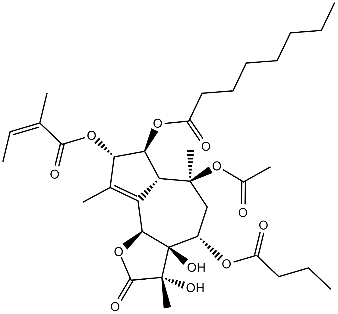 Thapsigargin