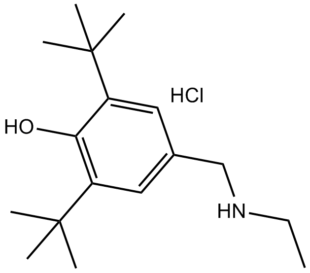 LY 231617