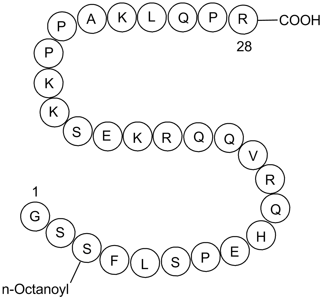 (human)|Endogenous　the　258279-04-8　ligand　for　APExBIO　receptor|CAS#　Ghrelin　GHS