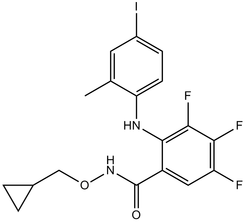 PD 198306