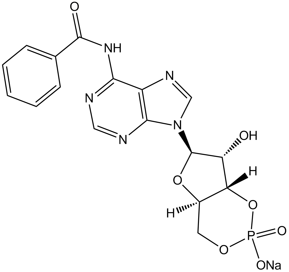 6-Bnz-cAMP sodium salt