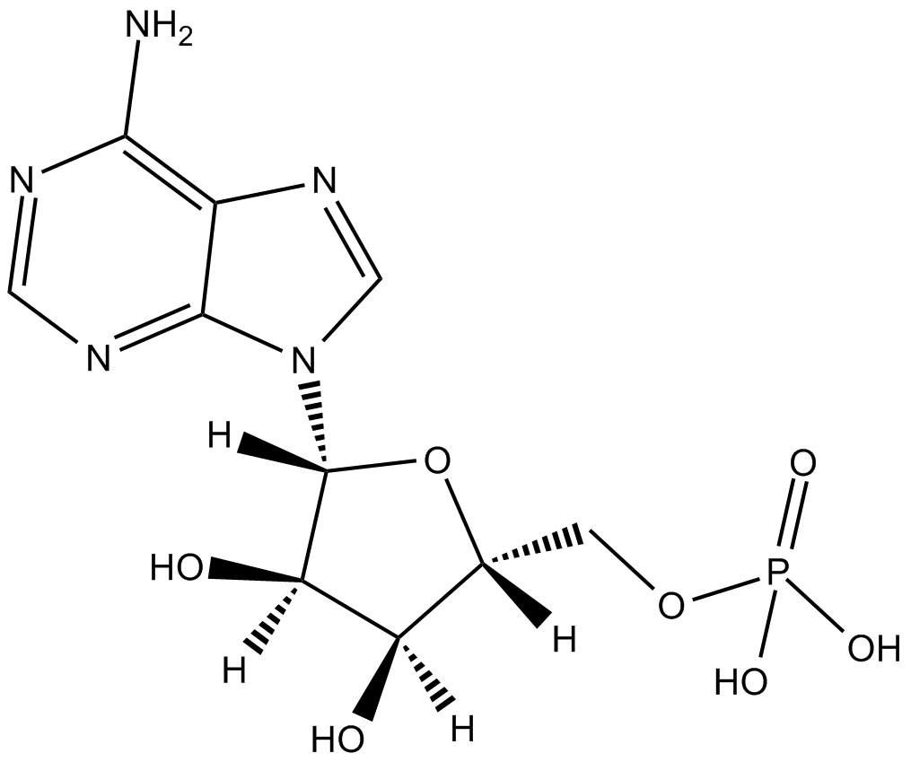 Adenosine 5-monophosphate