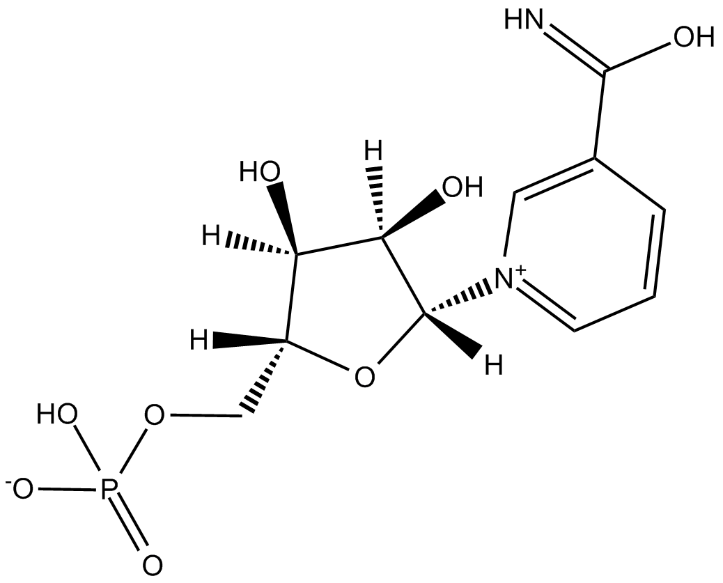 beta-Nicotinamide mononucleotide