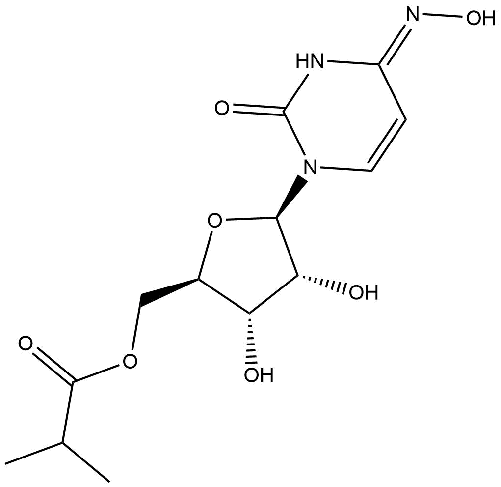 Molnupiravir