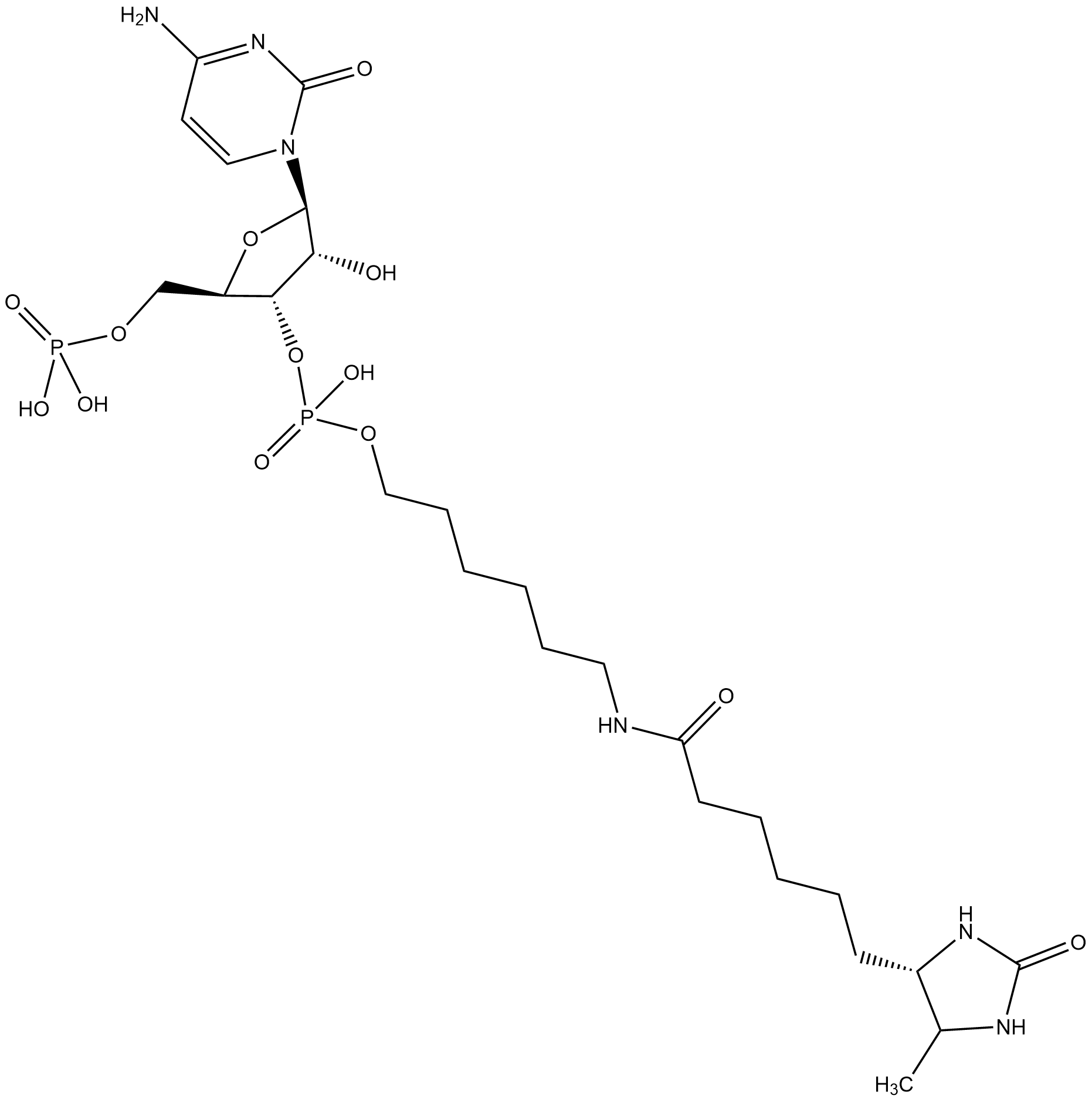 pCp-Desthiobiotin