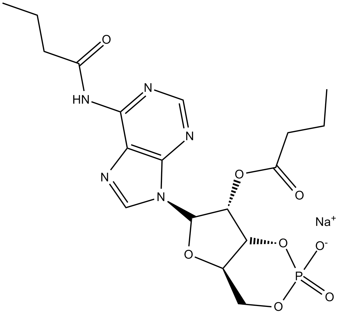 Dibutyryl-cAMP, sodium salt