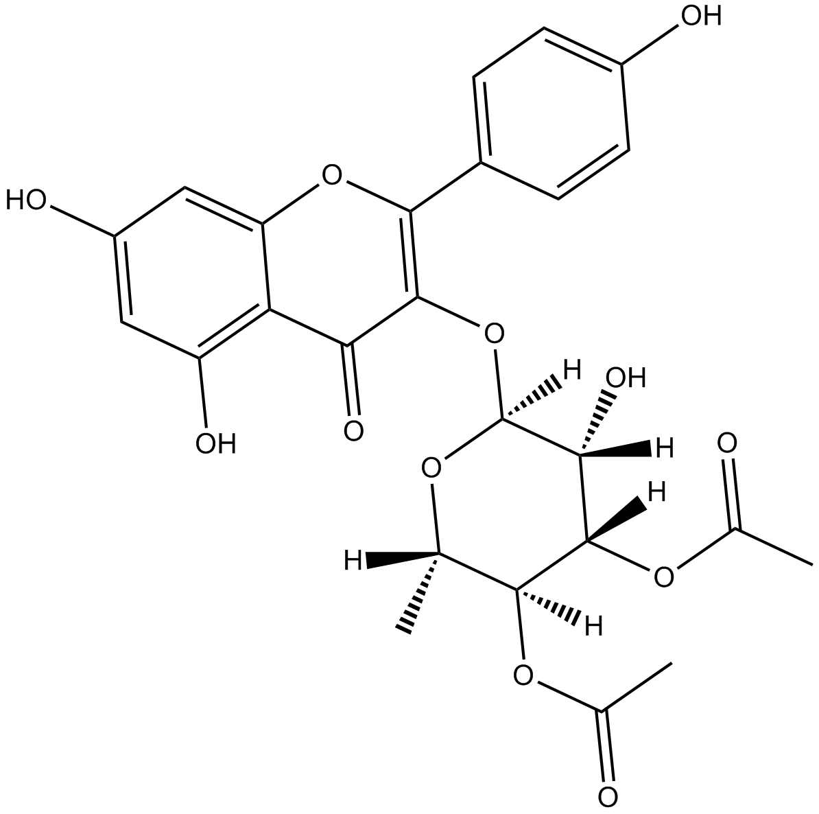 SL 0101-1