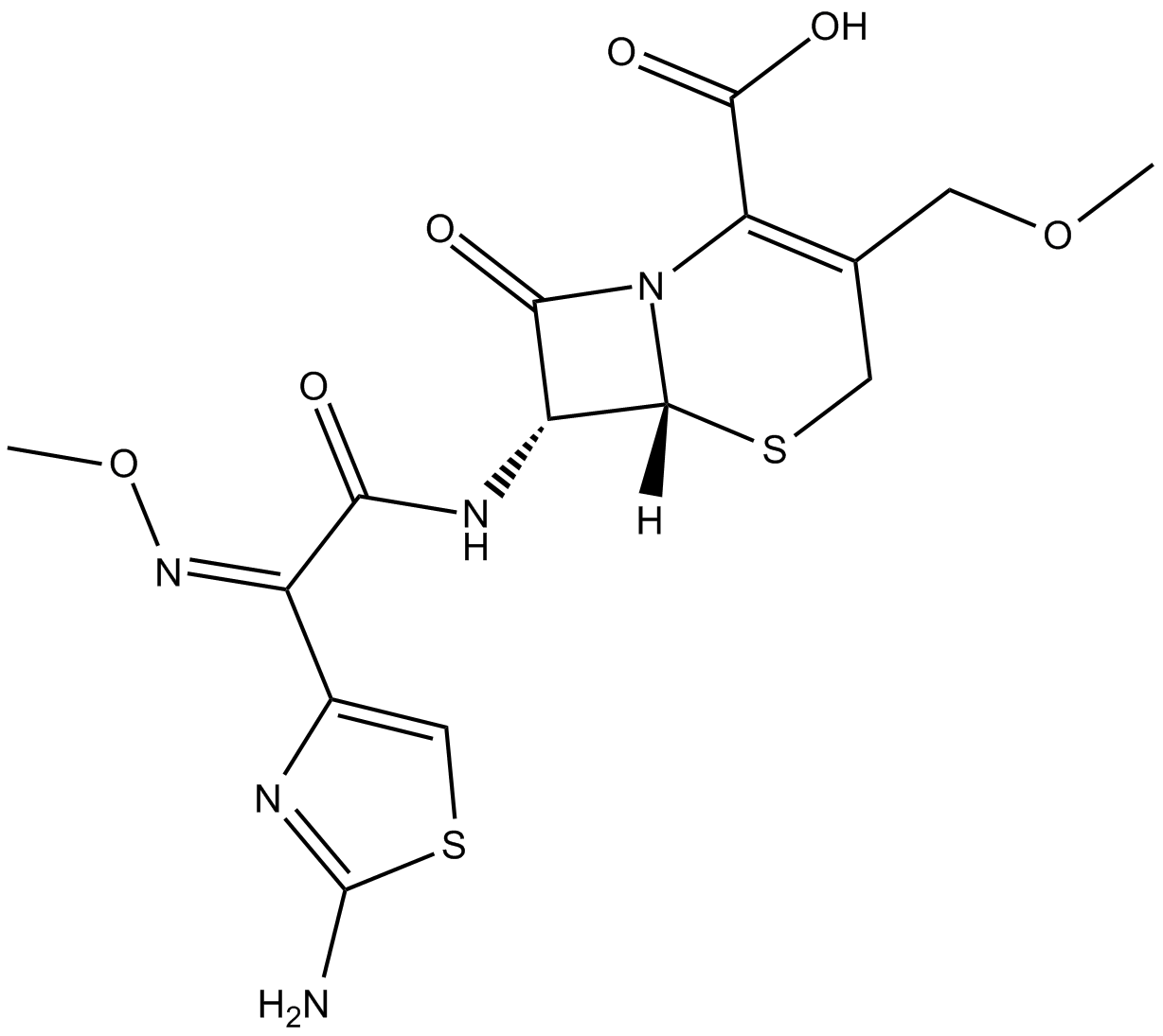 Cefpodoxime (free acid)