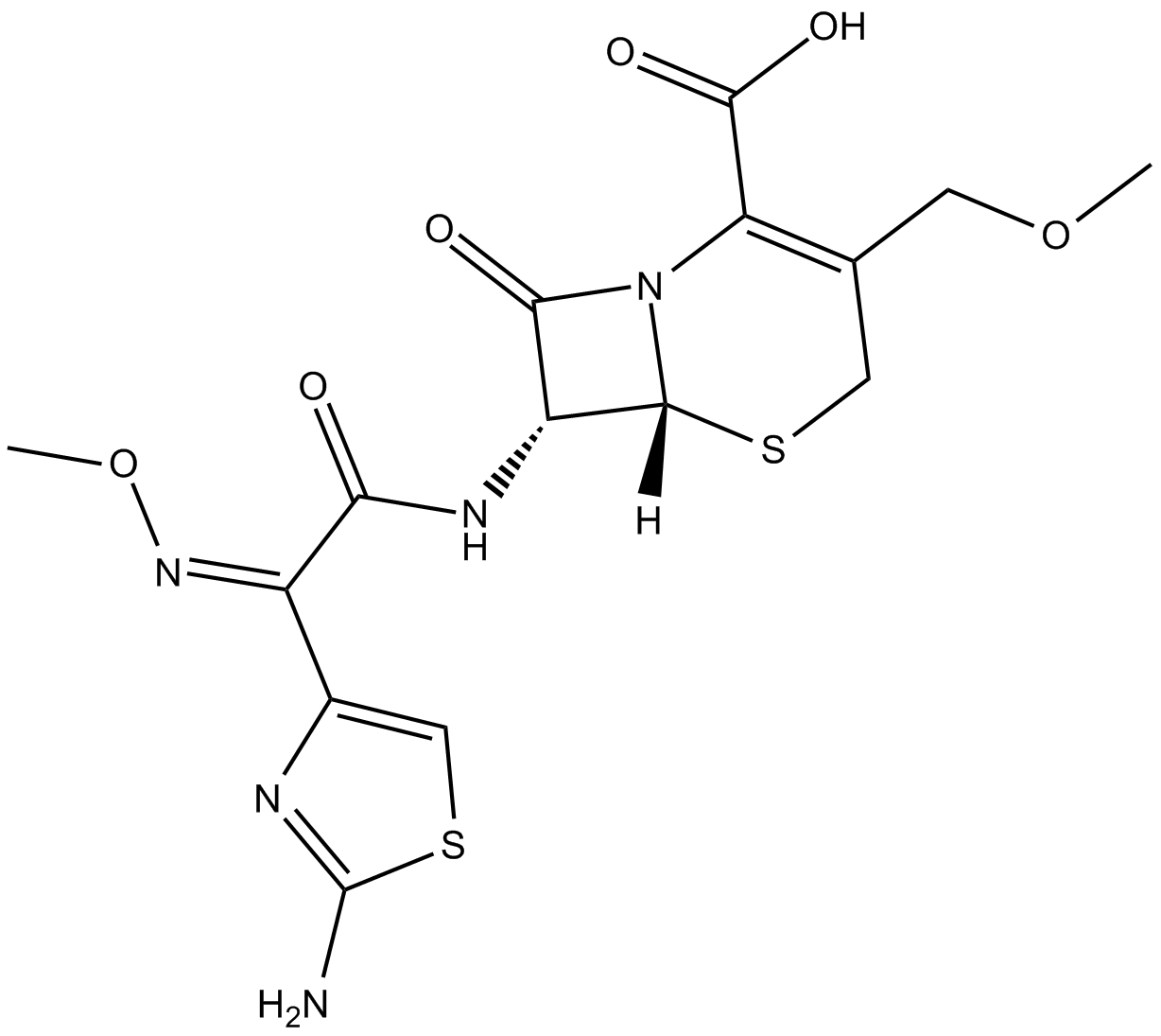 Cefpodoxime (free acid)