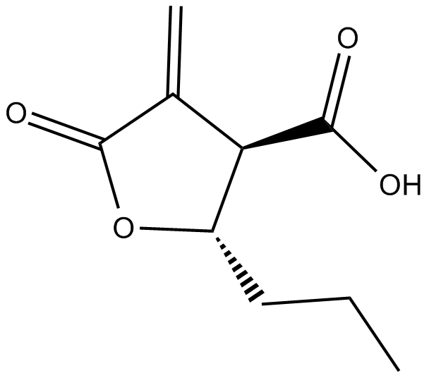 Butyrolactone 3