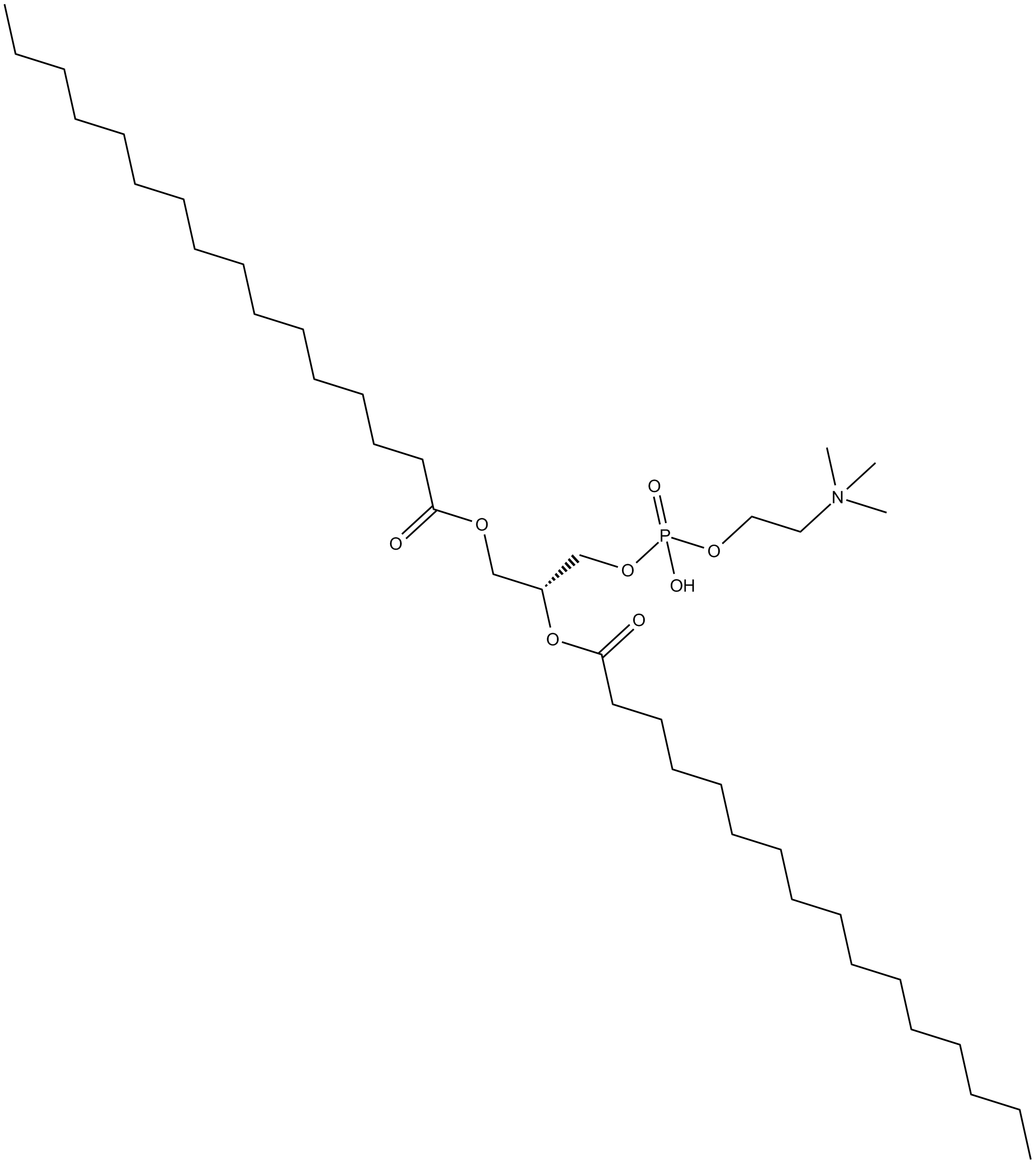 1,2-Dipalmitoyl-sn-glycero-3-PC