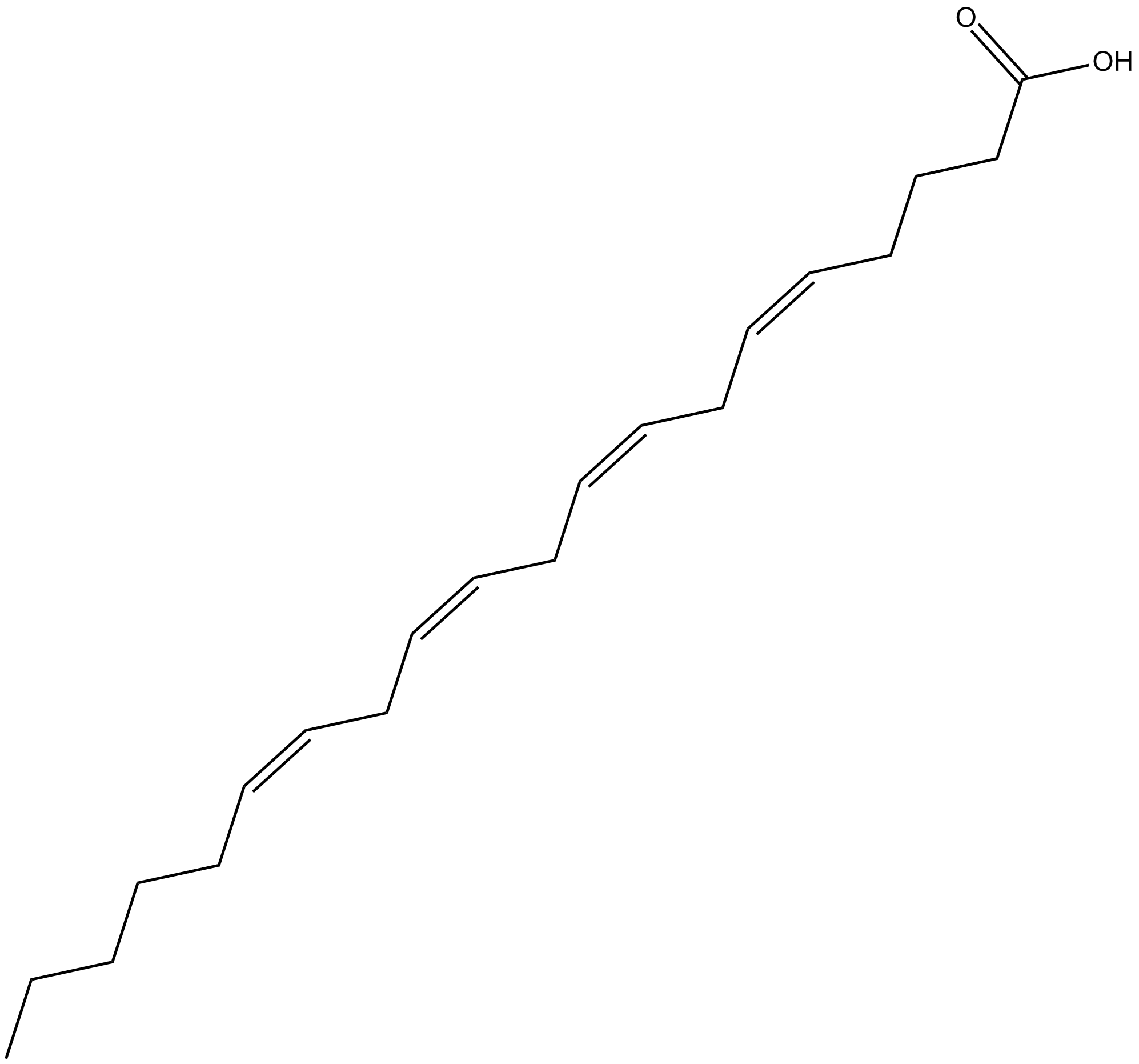 Arachidonic Acid