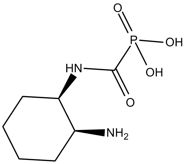 cis-ACCP