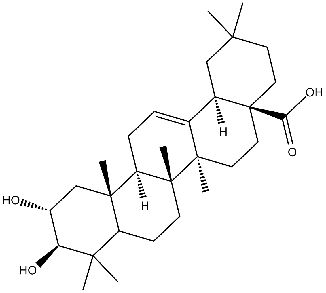 Maslinic Acid