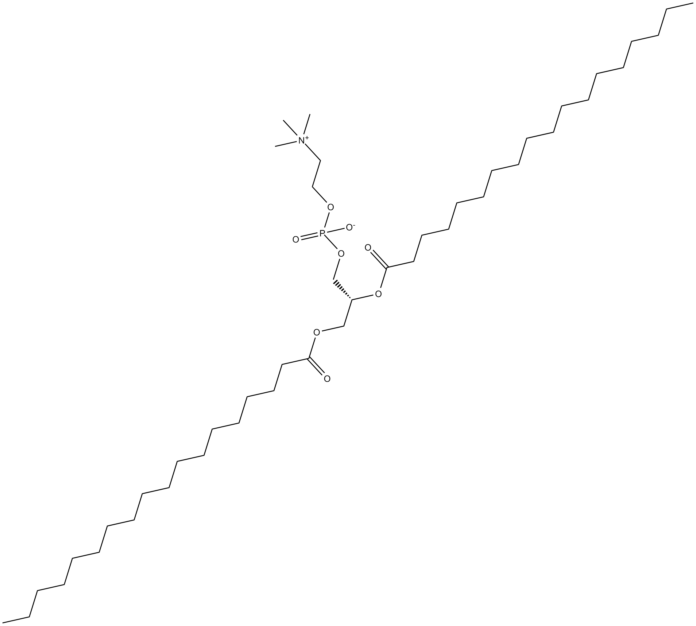 1,2-Distearoyl-sn-glycero-3-PC