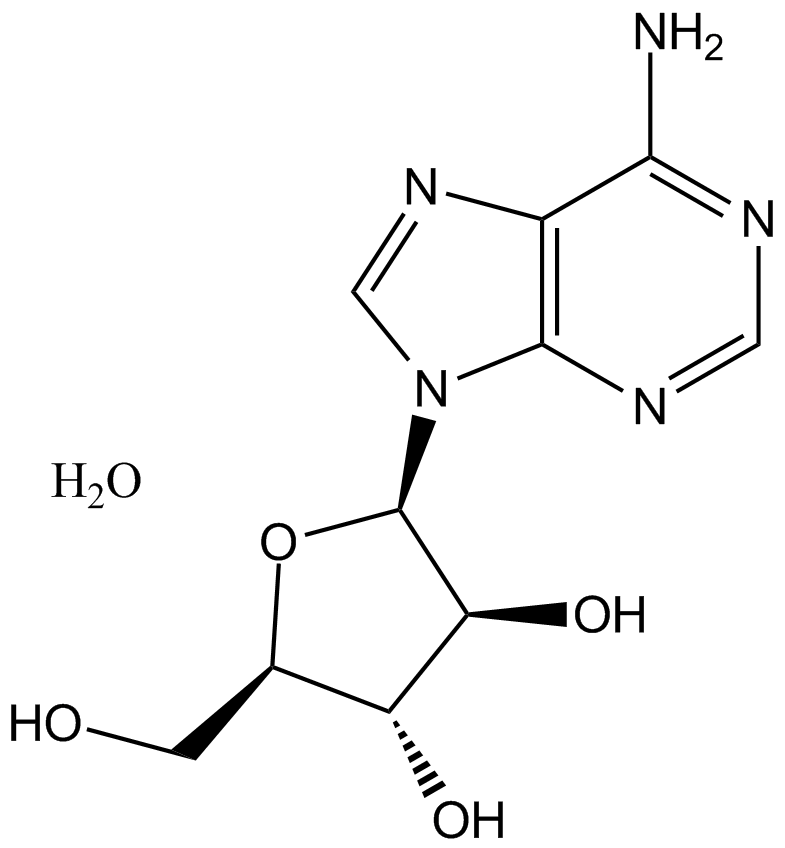 Vidarabine monohydrate