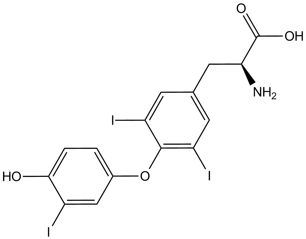 Triiodothyronine