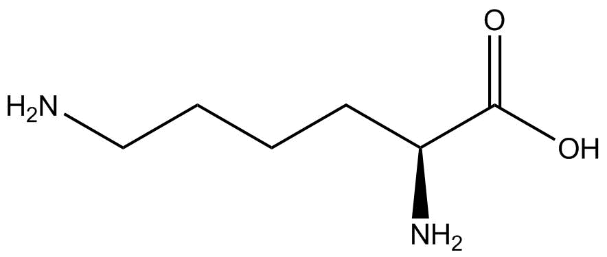 L-Lysine