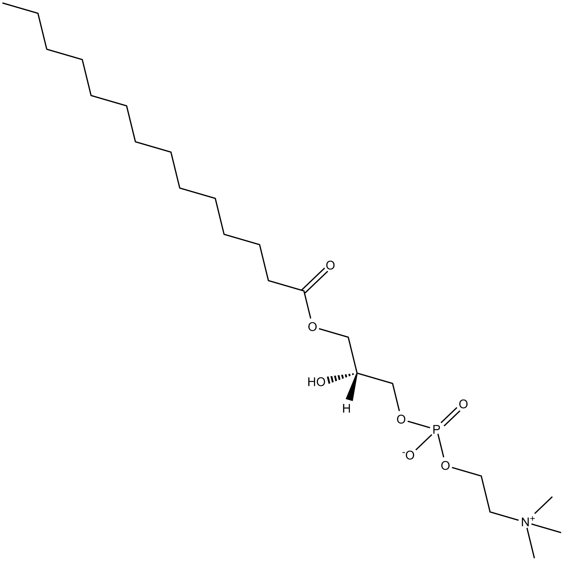 1-myristoylglycerophosphocholine