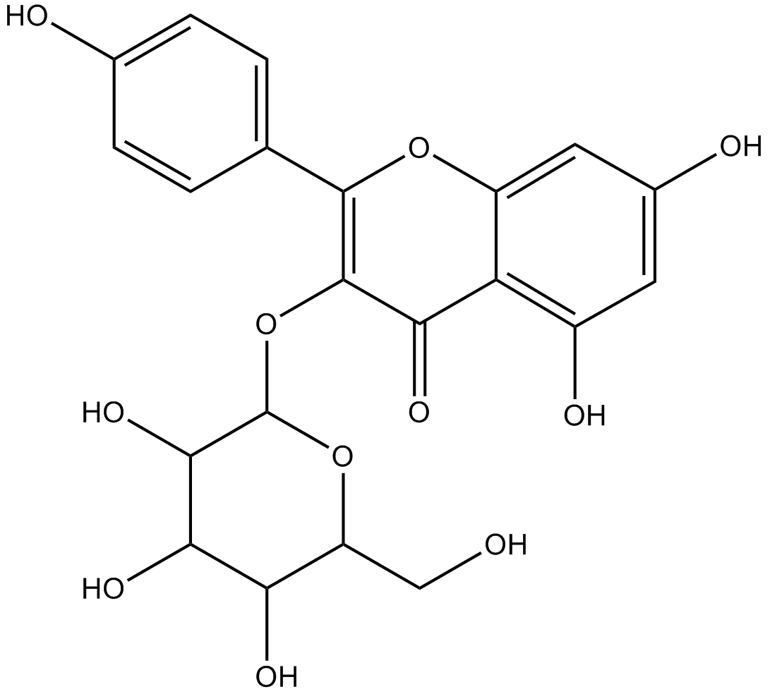 astragalin