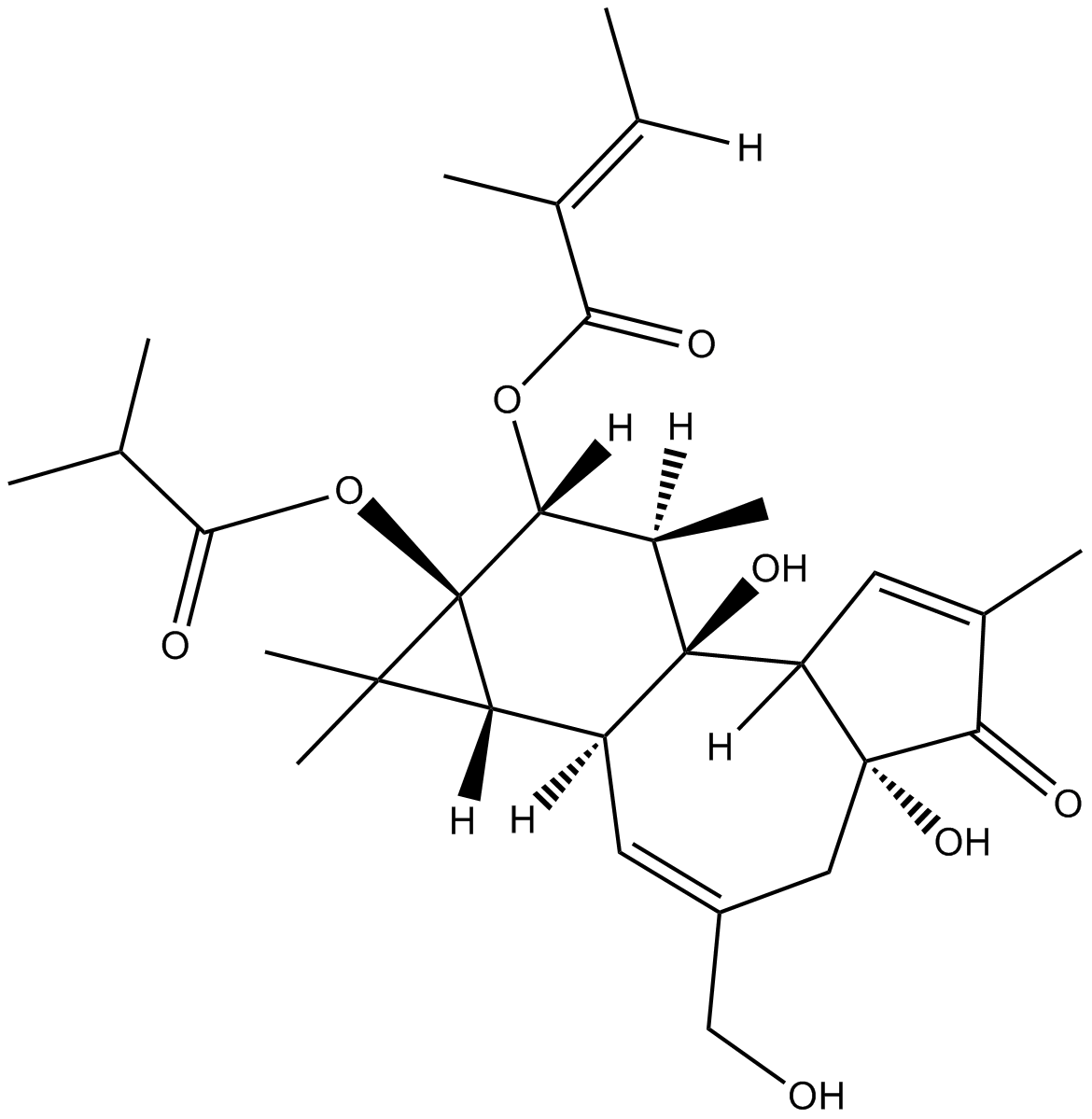 12-O-Tiglylphorbol-13 –isobutyrate