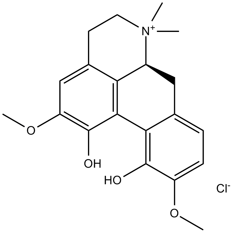 Magnoflorine chloride