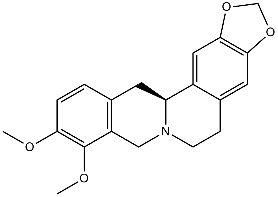 Tetrahydroberberine,THB