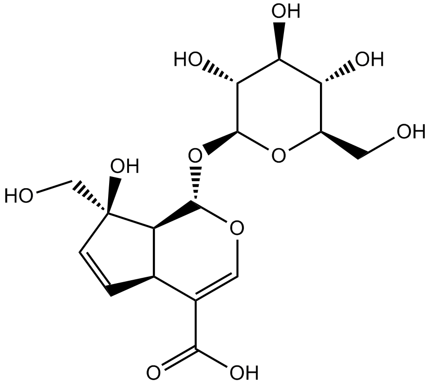 Monotropein