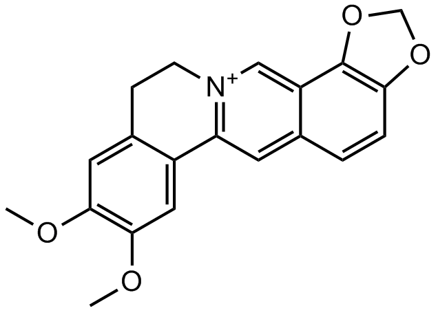 Epiberberine