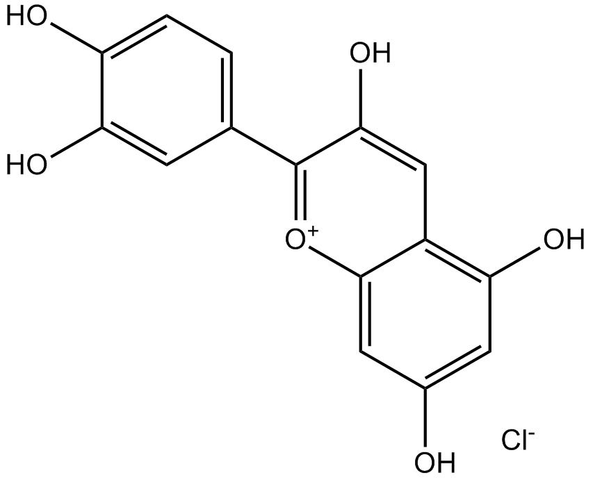 Cyanidin Chloride