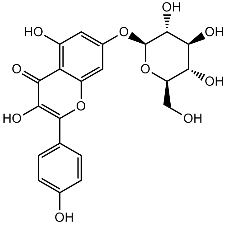 Kaempferol-7-O-

β-D-glucopyranoside