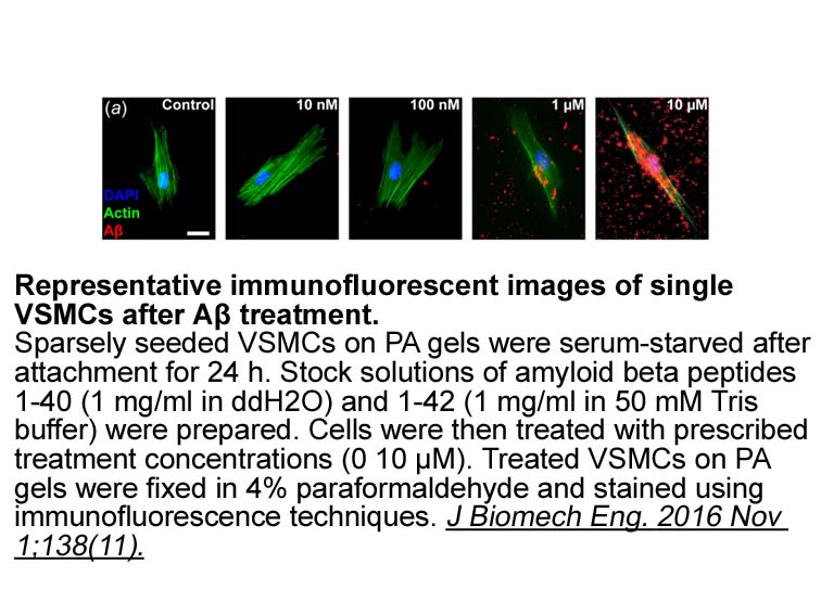 Amyloid?Beta-Peptide (1-40) (human) Amyloid?Beta-Peptide (1-40) (human)