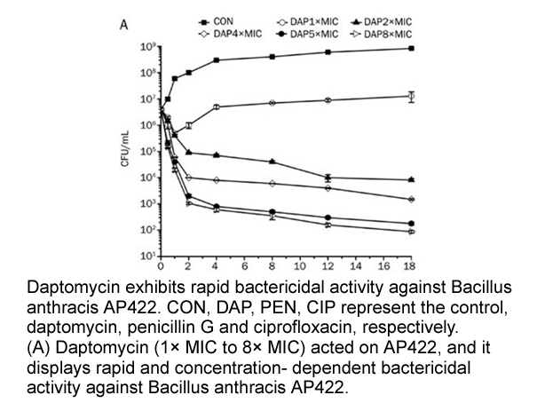 Daptomycin