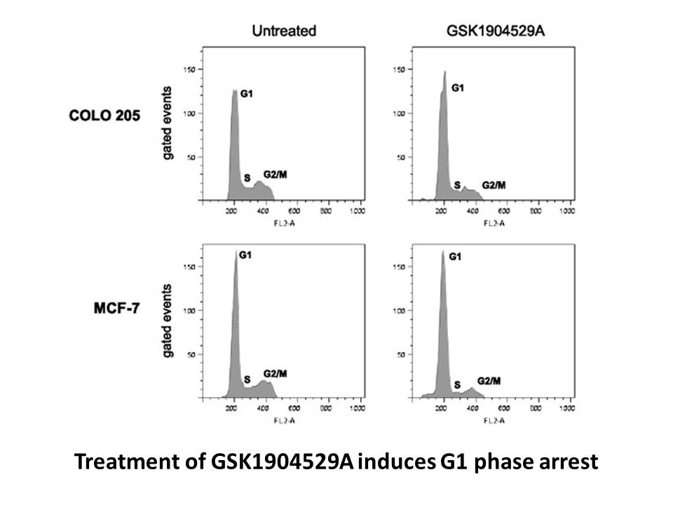 GSK1904529A