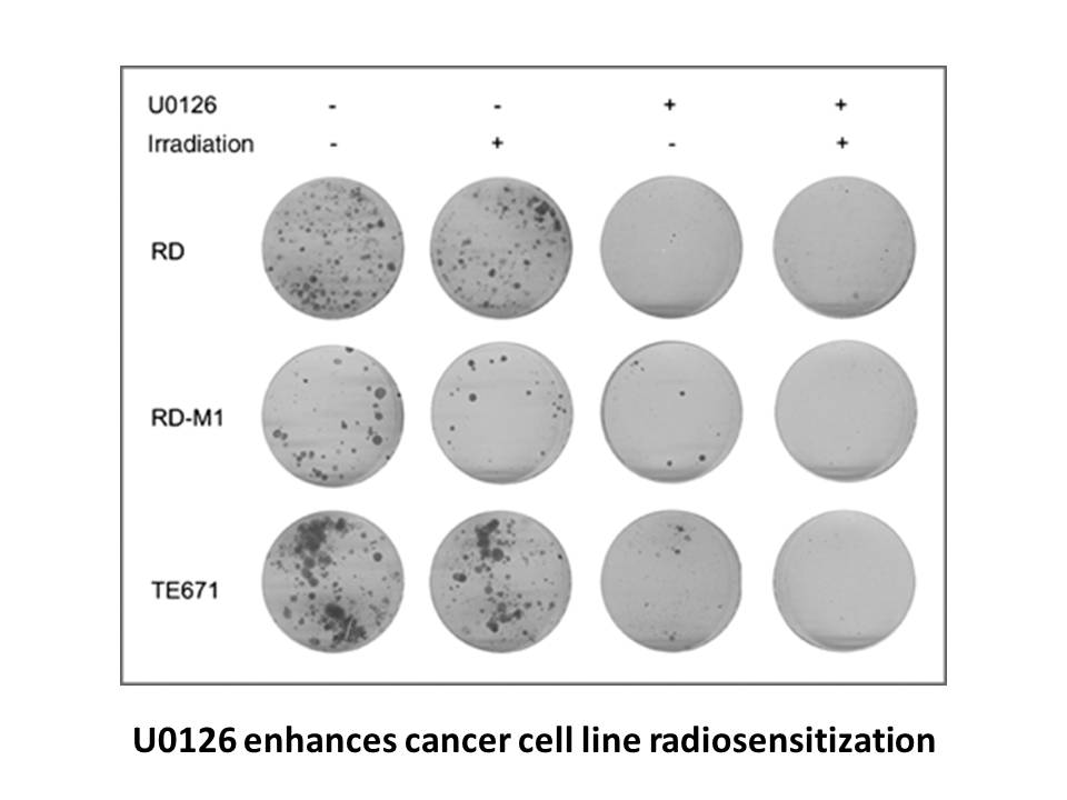 U0126-EtOH