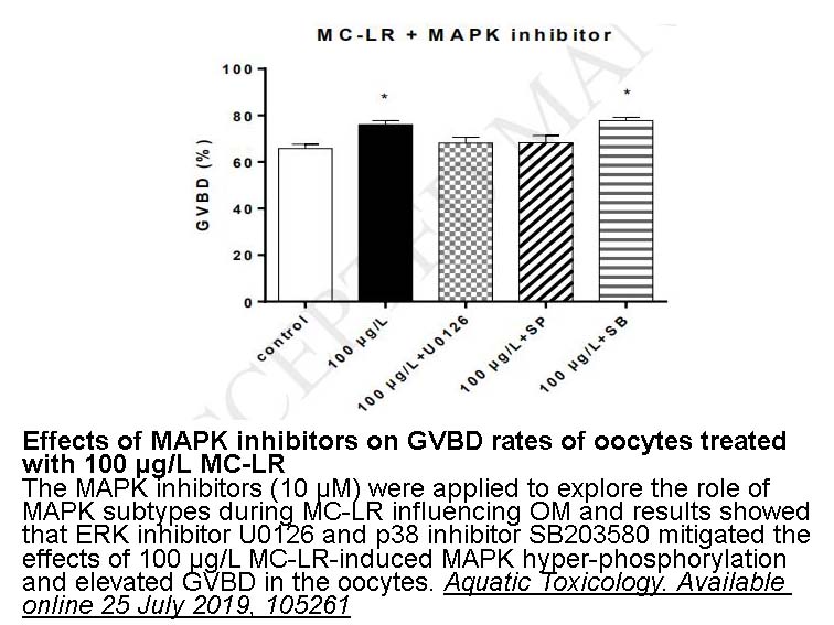 U0126-EtOH U0126-EtOH