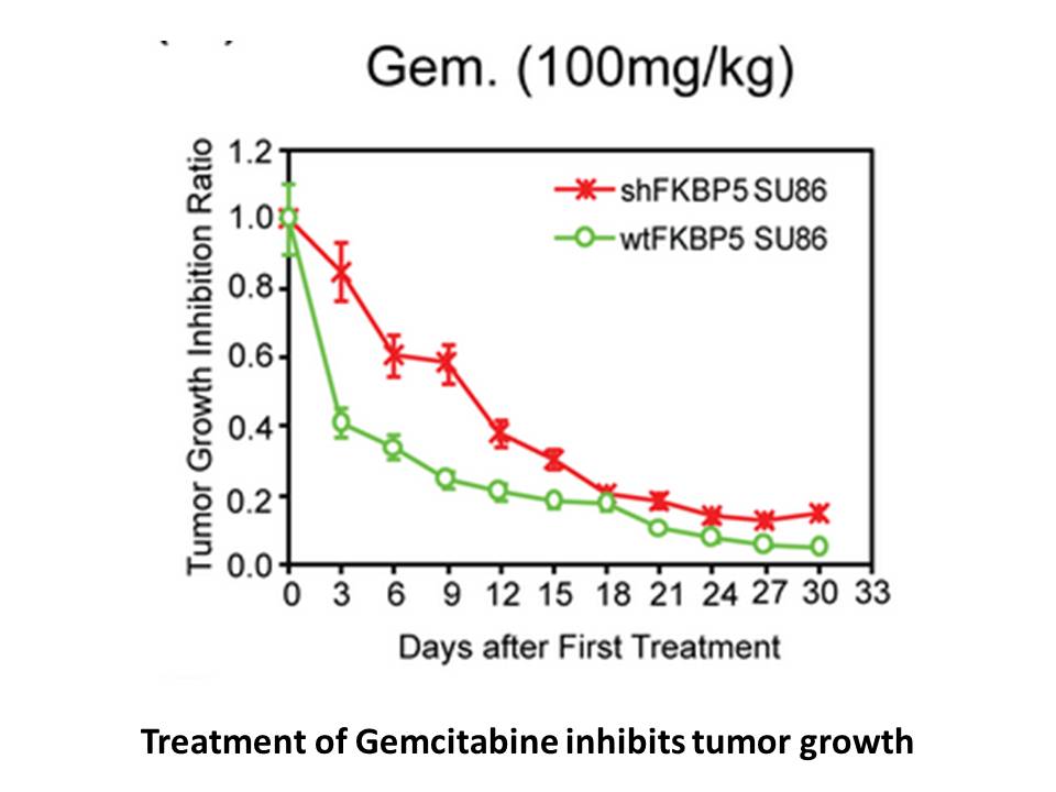 Gemcitabine HCl