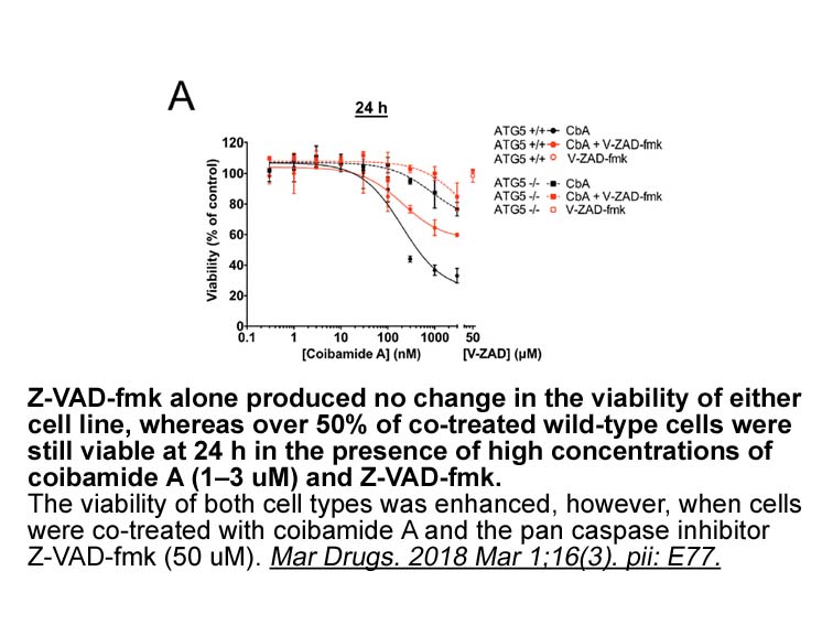 Z-VAD-FMK Z-VAD-FMK