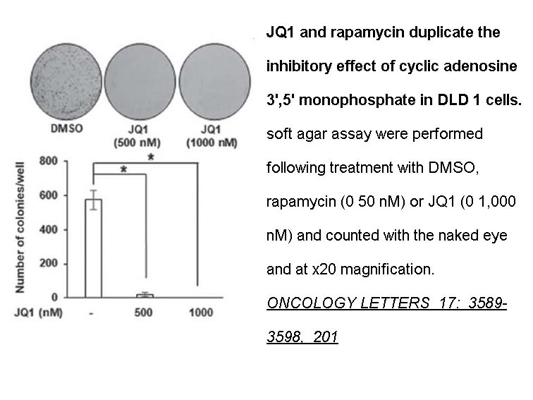 JQ1 JQ1