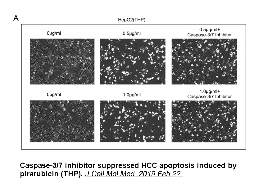 Caspase-3/7 Inhibitor I Caspase-3/7 Inhibitor I