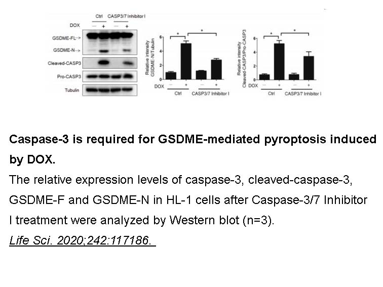 Caspase-3/7 Inhibitor I Caspase-3/7 Inhibitor I
