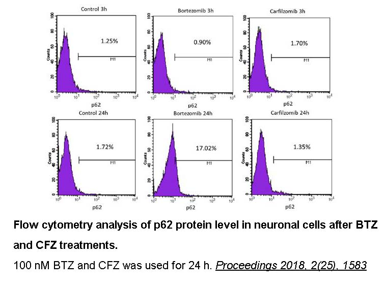 Carfilzomib (PR-171) Carfilzomib (PR-171)