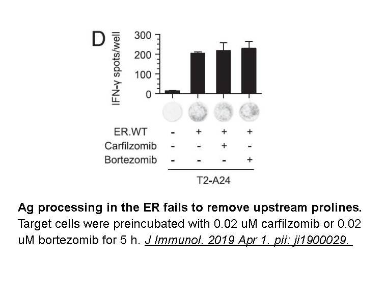 Carfilzomib (PR-171)