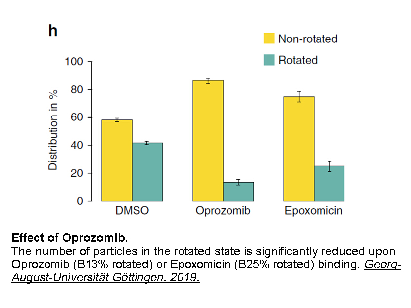 Oprozomib (ONX-0912) Oprozomib (ONX-0912)