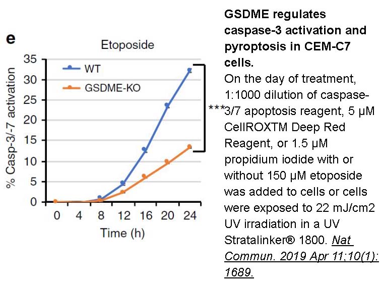 Etoposide