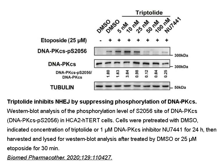 Etoposide