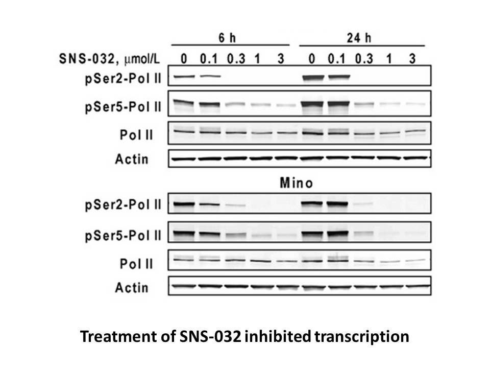 SNS-032 (BMS-387032)