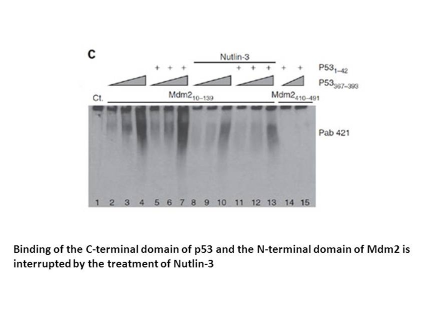 download chemistry