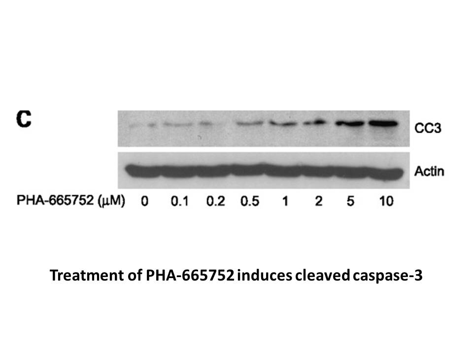 PHA-665752