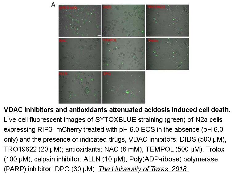 Calpain Inhibitor I, ALLN